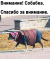 1718047839127.png