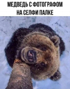 1718266549930.png