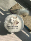 1720512700448.png