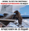 1723863209731.png
