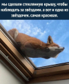 1724525849061.png