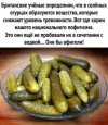 1724575464464.png