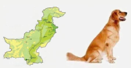 1724691649421.png