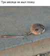 1724697657636.png