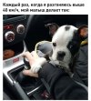 gvaZzPdaFFA.jpg