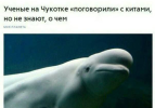 1734878016253.png