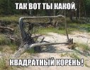 Квадратный корень.jpg
