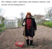 1737036437130.png