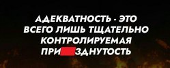 Что такое адекватность-2.jpg