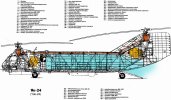 IMG_20250210_130041_817.jpg