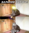 1739279505104.png