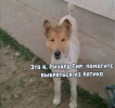1741025082040.png