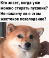1741107375035.png