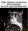1741107427260.png