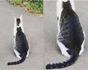 1742147654607.png