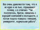 15.png