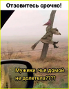 29.png