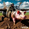 Свинолётчик га свинолёте.jpg