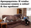 1743528371803.png