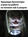 IMG_20250402_141811_578.jpg