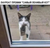 1743918497792.png