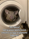 1744524696605.png