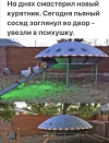 1745996932246.png