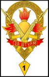 Знак За штурм.jpg