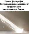 1746626612419.png
