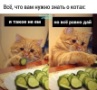 1746940269446.png