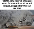 1747053519908.png