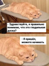 1747053542187.png
