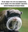 1747072557404.png