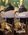 1747139607241.png