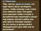 12.png