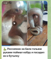 1748328492699.png
