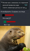 1748455125255.png
