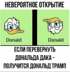 1748498168033.png