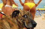 10fuunny-beach-768x500.jpg