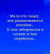 4542e8732556fbdfd29825995c2060ad.png