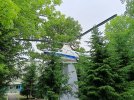 IMG_20250607_121001_531.jpg