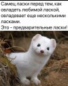 Screenshot_20250609_194934_VK.jpg