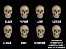 scale_1200 (2).jpeg