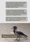 1751053355184.png