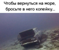 1751362195550.png