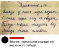 1751395659603.png