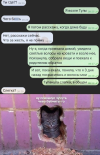 1751569964262.png