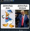 b51b79ea250bfcc3333ad4d2fe75287b.jpg