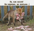 1751879832967.png