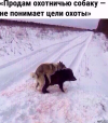 1752077239545.png